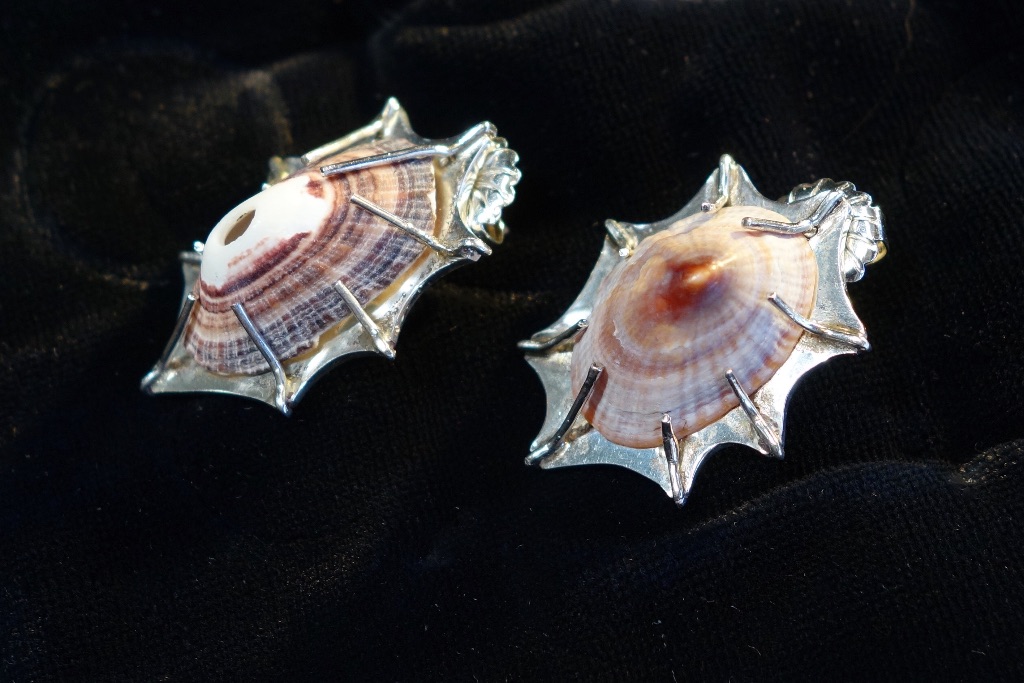 Earrings in silver with shell