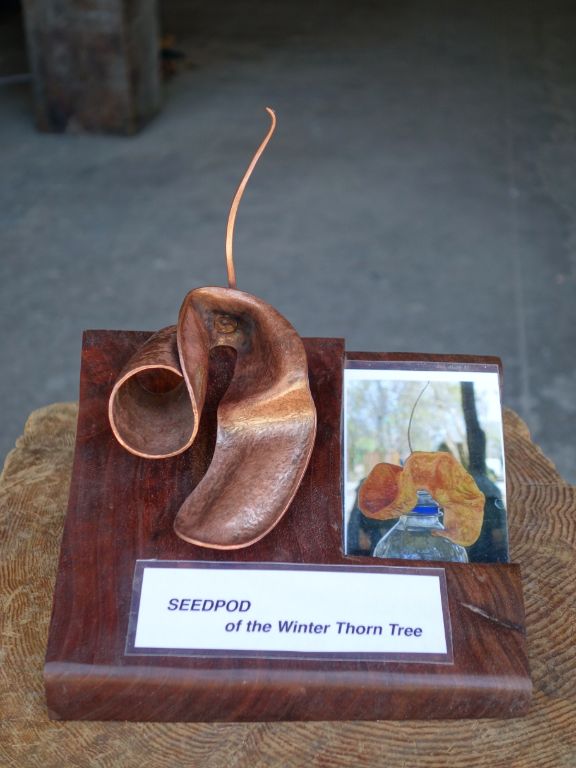 Bronze sculpture inspired by the seed pod of the Winter Thorn Tree.